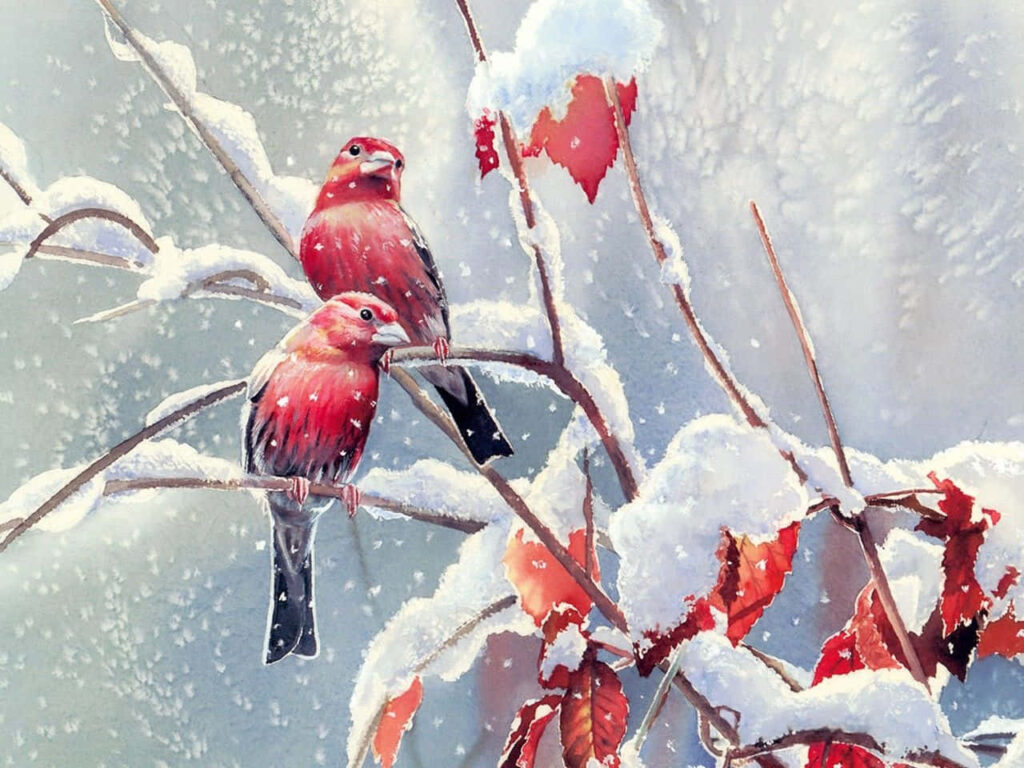 Vibrant Red Birds on Snowy Branch: Serene Winter Wallpaper