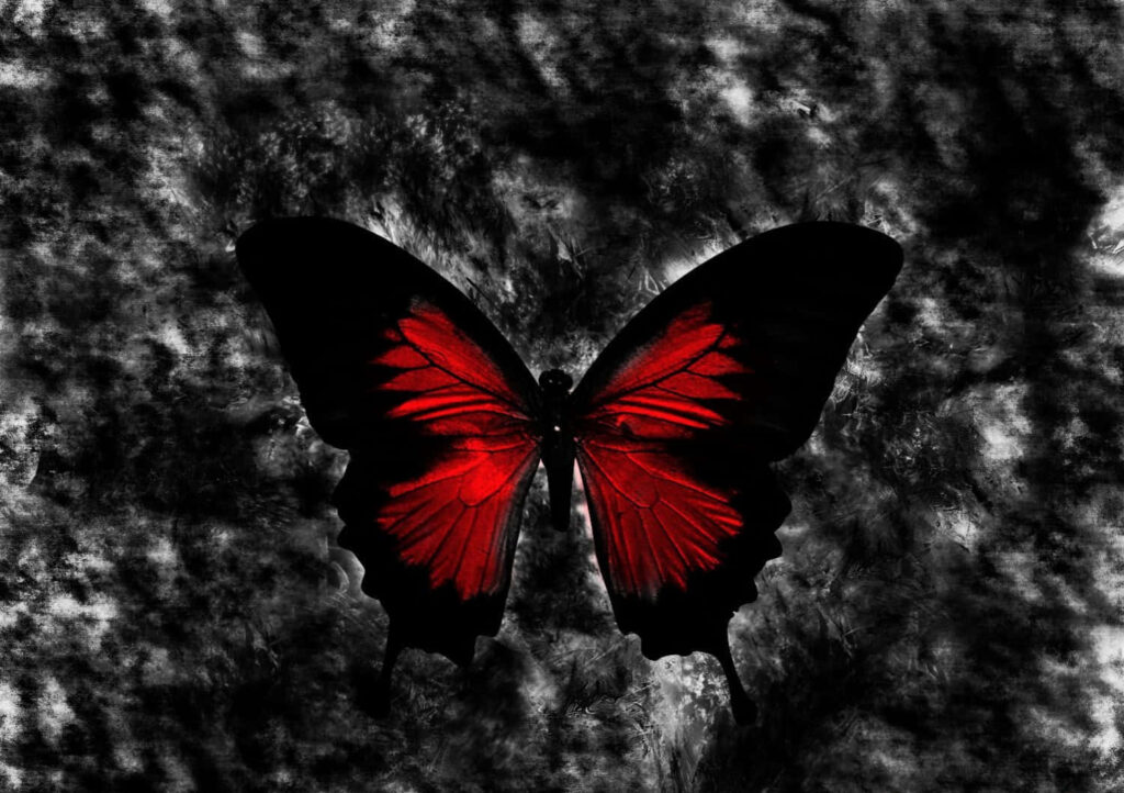 Vibrant Red & Black Butterfly Wallpaper on Gothic Background