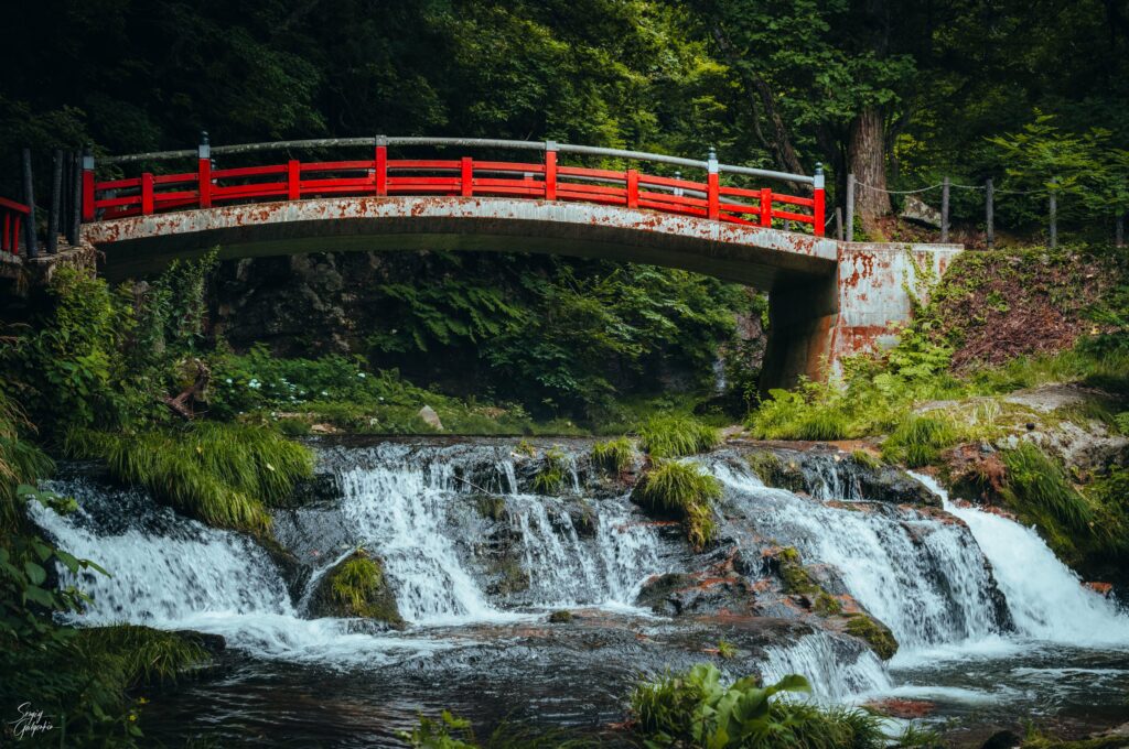 Vibrant red arched bridge over cascading stream surrounded by lush green forest and grass Wallpaper