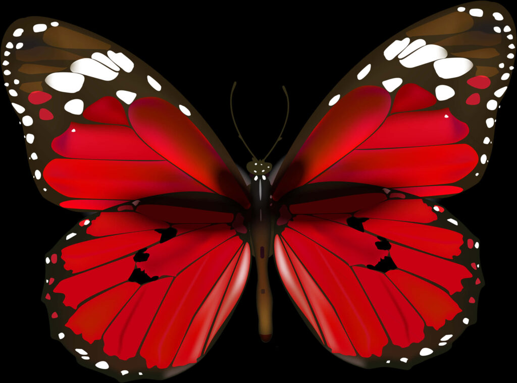 Vibrant Red Butterfly with Striking Patterns - Dark Wallpaper Design