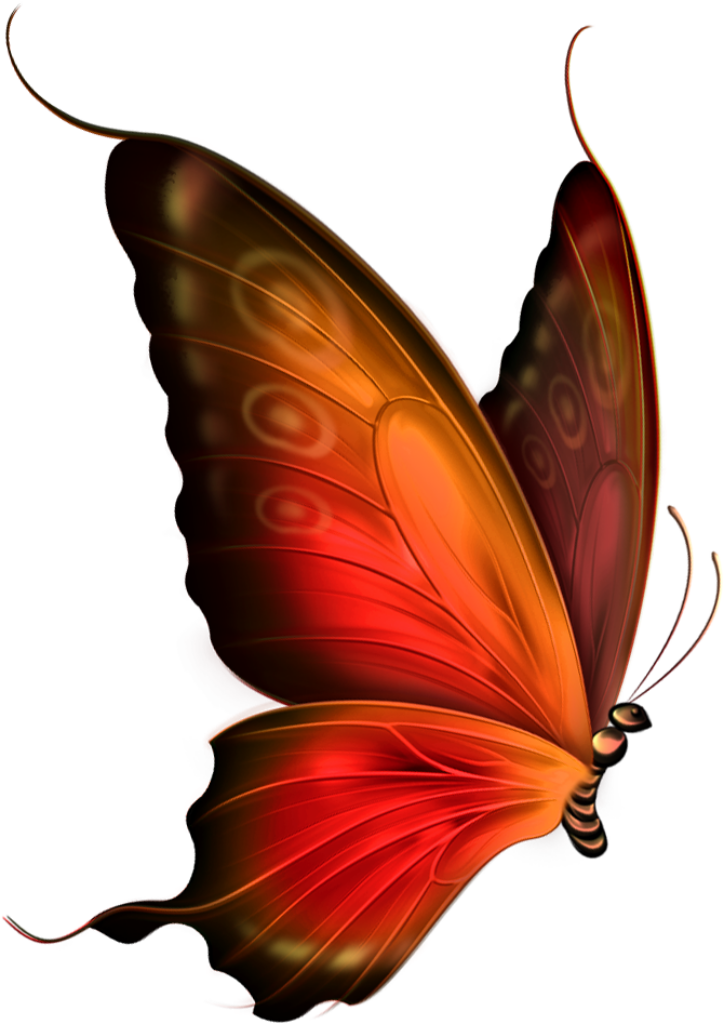 Vibrant Red Butterfly Wallpaper with Intricate Patterns on Transparent Background