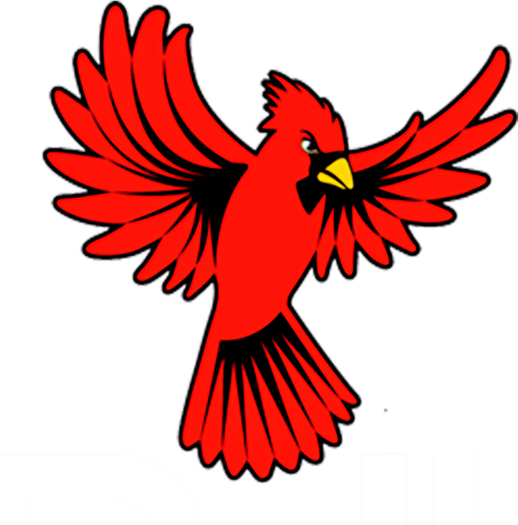 Vibrant Red Cardinal in Flight: Striking Plumage Against Simple Background Wallpaper