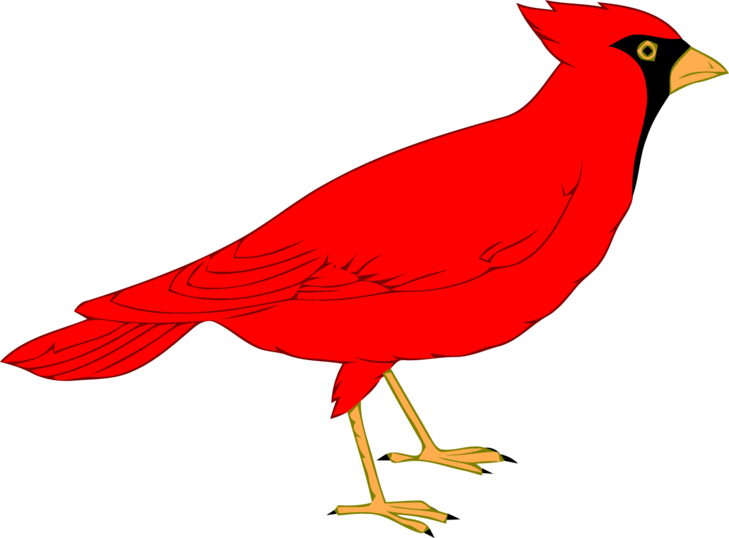 Vibrant Red Cardinal Illustration: Detailed PNG Bird Wallpaper