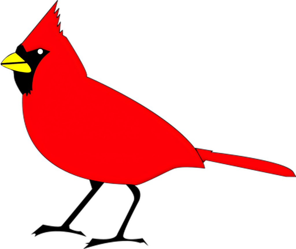 Vibrant Red Cardinal Vector Wallpaper for Stylish Digital Background