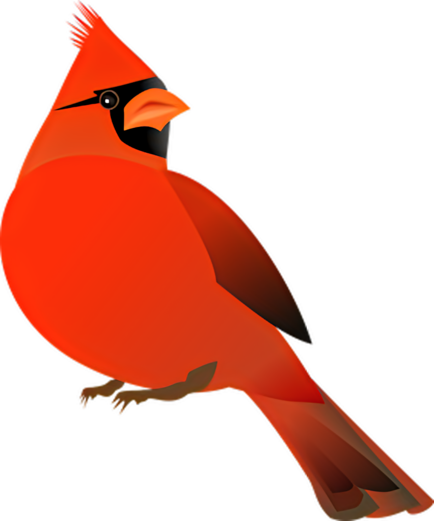 Vibrant Red Cardinal Wallpaper – Elegant Nature Illustration