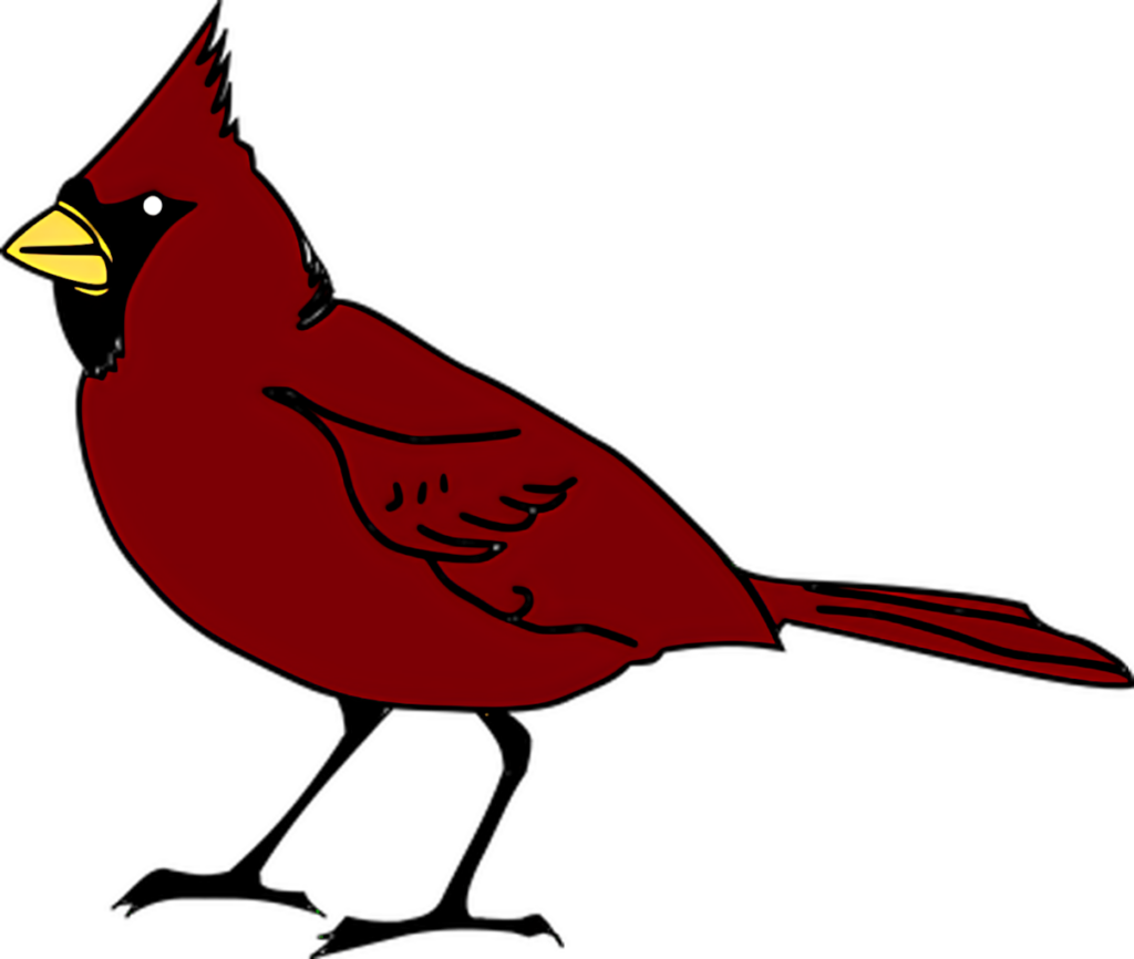Vibrant Cardinal Bird Wallpaper with Transparent Background