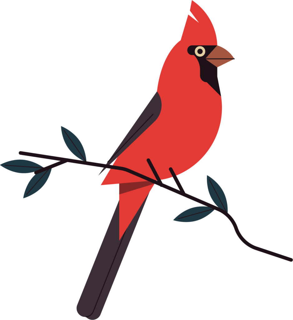 Vibrant Red Cardinal Illustration on Clear Background – Eye-Catching Decor Wallpaper