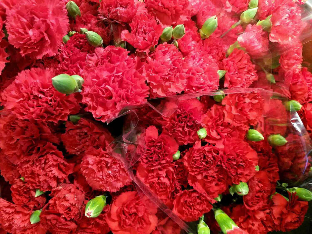Vibrant Red Carnation Bouquet Wallpaper with Lush Green Accents