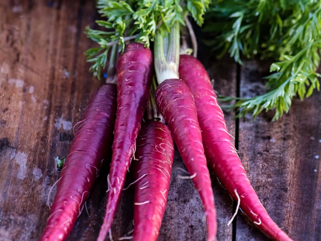 Vibrant red carrots with fresh green tops on rustic wooden table close-up organic texture Wallpaper