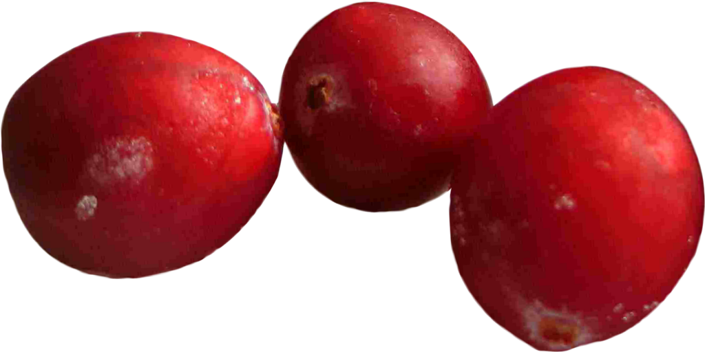 Vibrant Red Cranberries Close-Up: Fresh Texture Wallpaper Background