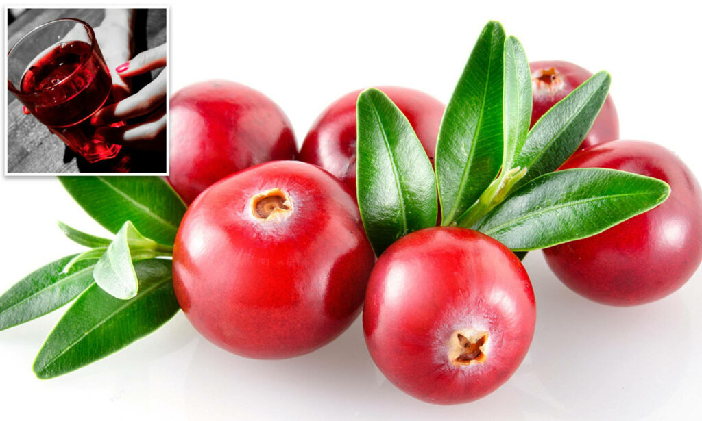 Vibrant Red Cranberries & Green Leaves Wallpaper Background