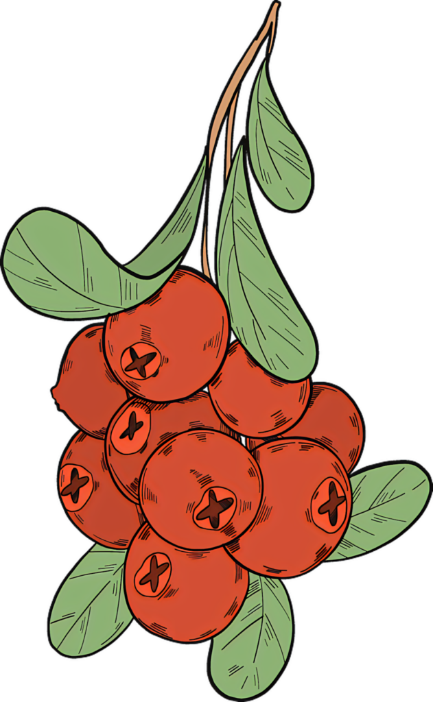 Artistic Red Cranberries Wallpaper with Lush Green Leaves