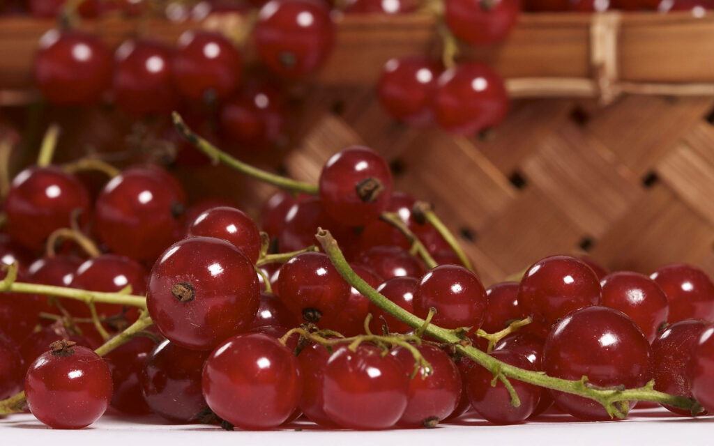 Vibrant Red Currants: Rustic Basket Wallpaper Background