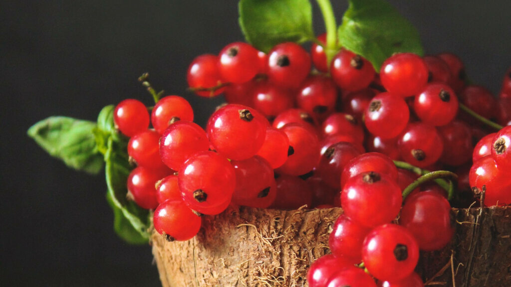 Stunning Red Currant Fruits in Coconut Bowl - Fresh Wallpaper