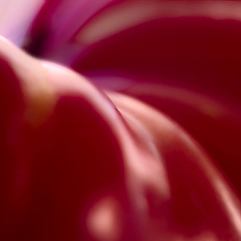 Smooth Red Curves Wallpaper: Glossy Macro Abstract Background