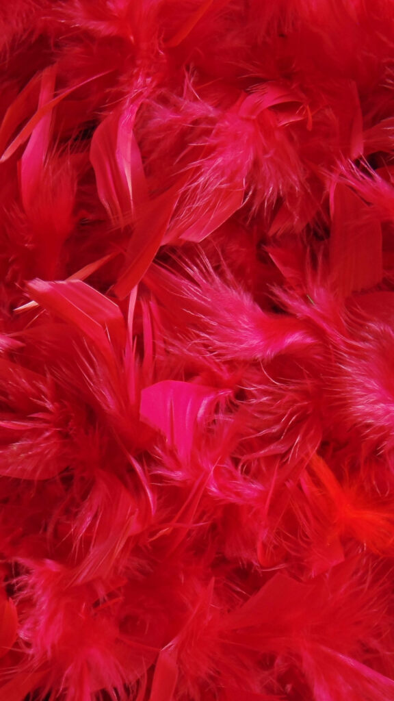 Vibrant Red Feathers Wallpaper for Samsung Galaxy S7 Edge Background