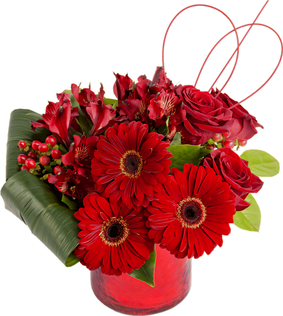 Vibrant Red Floral Wallpaper with Roses & Gerbera Daisies