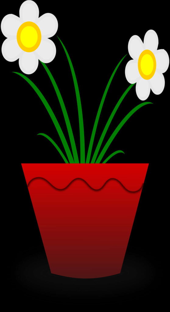 Vibrant Red Flower Pot with Cheerful Daisies on Dark Background Wallpaper