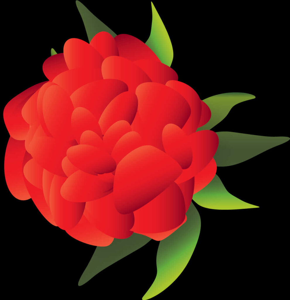 Vibrant Red Flower Vector with Green Leaves on Black Background Wallpaper