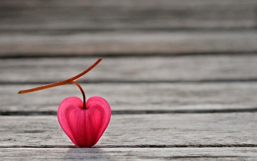 Charming Red Heart-Shaped Fruit on Rustic Wooden Wallpaper Background