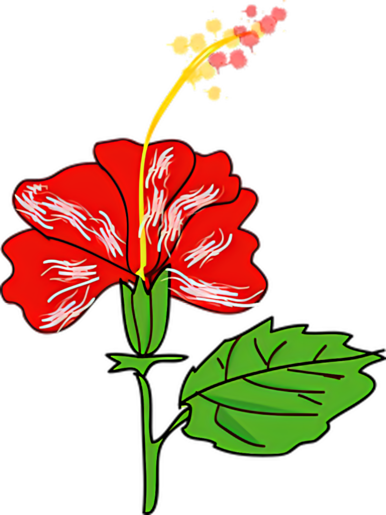 Vibrant Red Hibiscus Illustration with Intricate Line Details Wallpaper