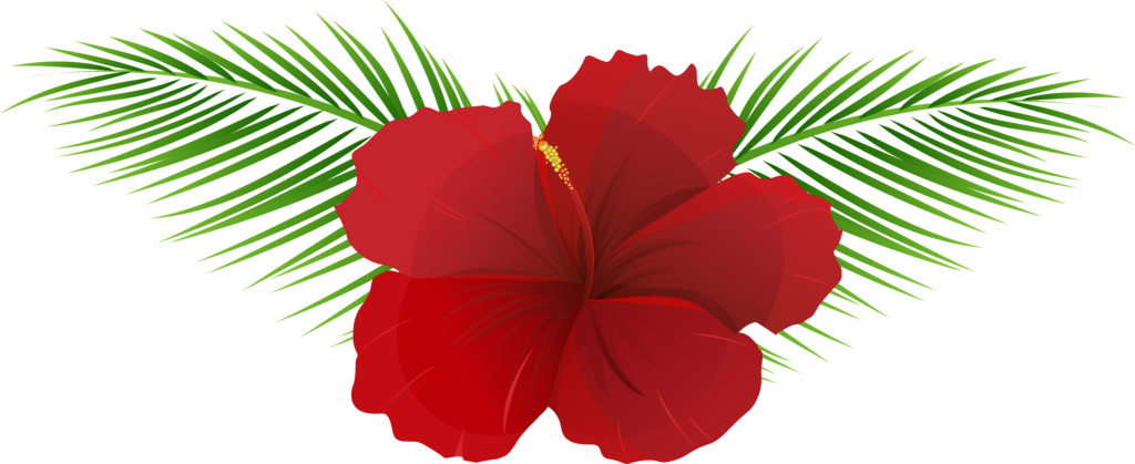 Vibrant Red Hibiscus Flower Vector Wallpaper with Lush Green Leaves