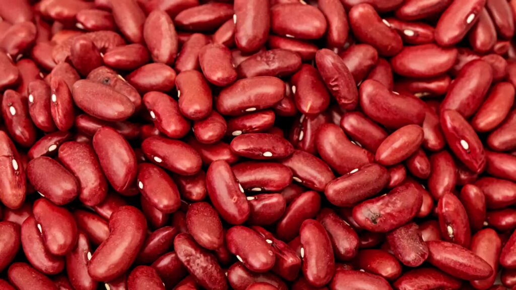 Close-up of vibrant red kidney beans with smooth glossy surface textured wallpaper background