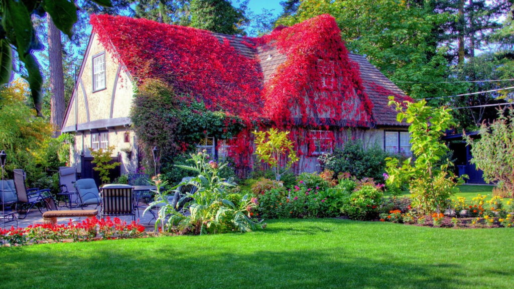 Nature's Flamboyant Spring: Vibrant Crimson Leaves Adorn House Roof amidst Blossoming Flowers on HD Wallpaper