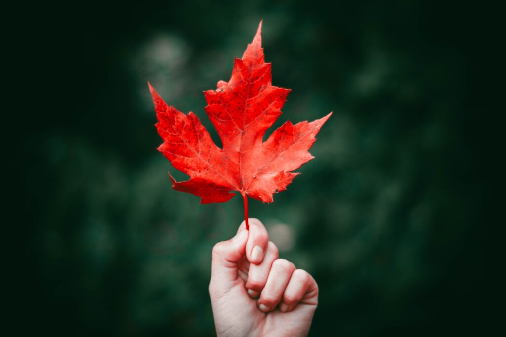 Hand holding vibrant red maple leaf against deep green blurred background autumn wallpaper