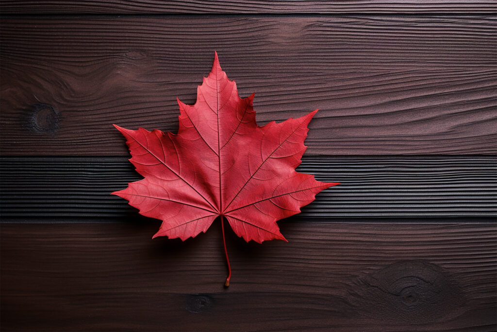 Vibrant Red Maple Leaf on Textured Wood - Autumn Beauty Wallpaper