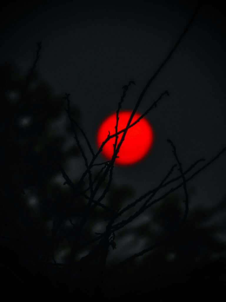 Vibrant Red Moon Wallpaper: Ominous Glow Among Shadowy Branches