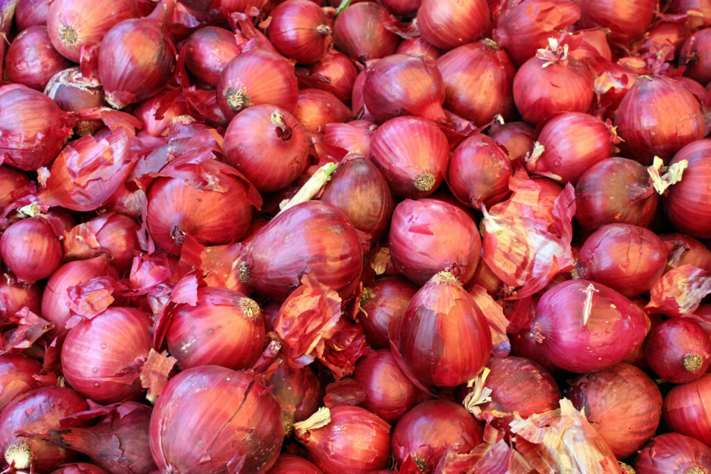 Vibrant Red Onion Wallpaper: Rich Textures & Deep Hue Background