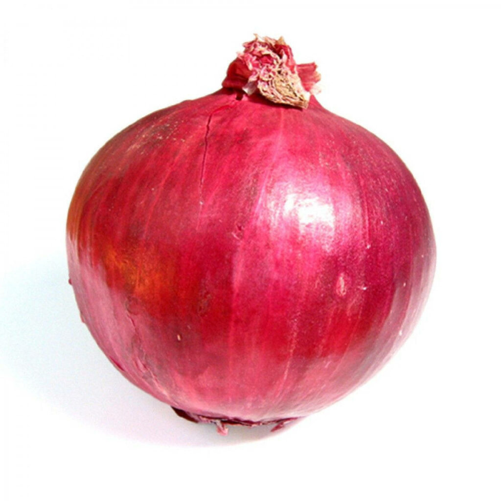 Vibrant Round Red Onion Wallpaper for Food Lovers