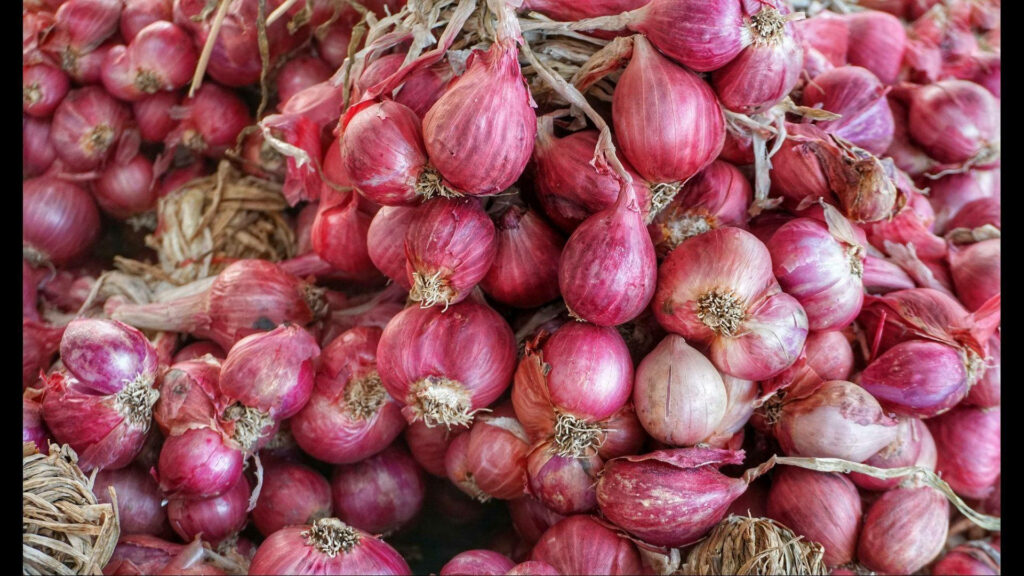 Vibrant Red Onion Wallpaper: Fresh Culinary Texture Background