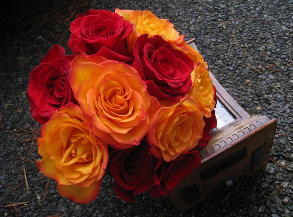 Vibrant Red and Orange Roses on Stone Surface - Floral Background Wallpaper
