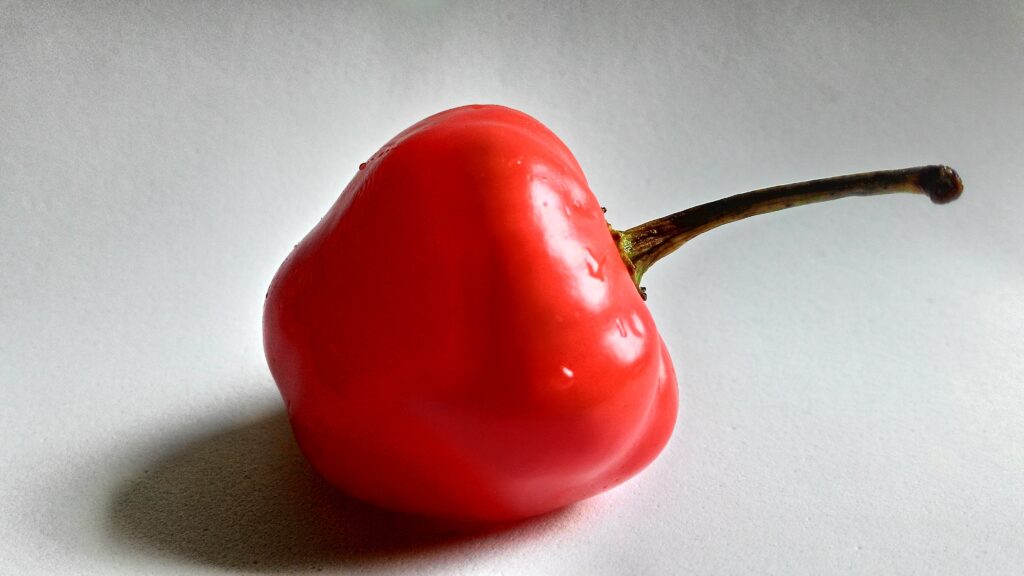 Vibrant Red Pepper Close-Up: Smooth Texture Wallpaper Background