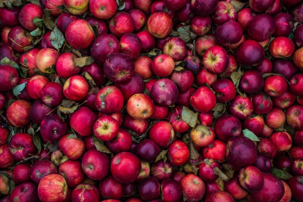 Vibrant Red & Pink Apple Wallpaper with Fresh Green Leaves