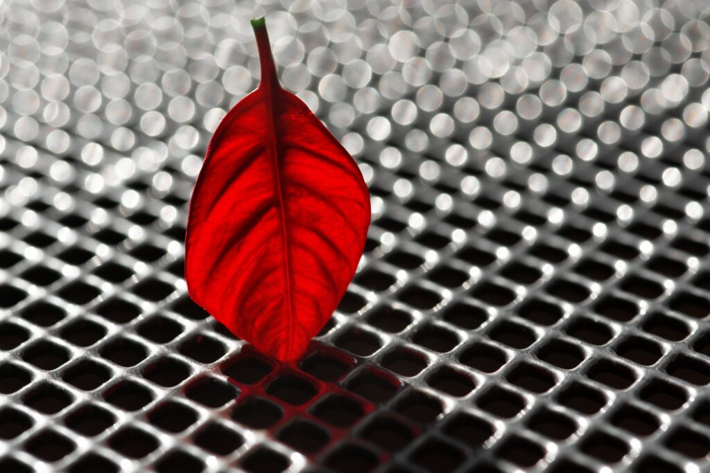 Vibrant Red Poinsettia Leaf on Metallic Grid - Bokeh Wallpaper