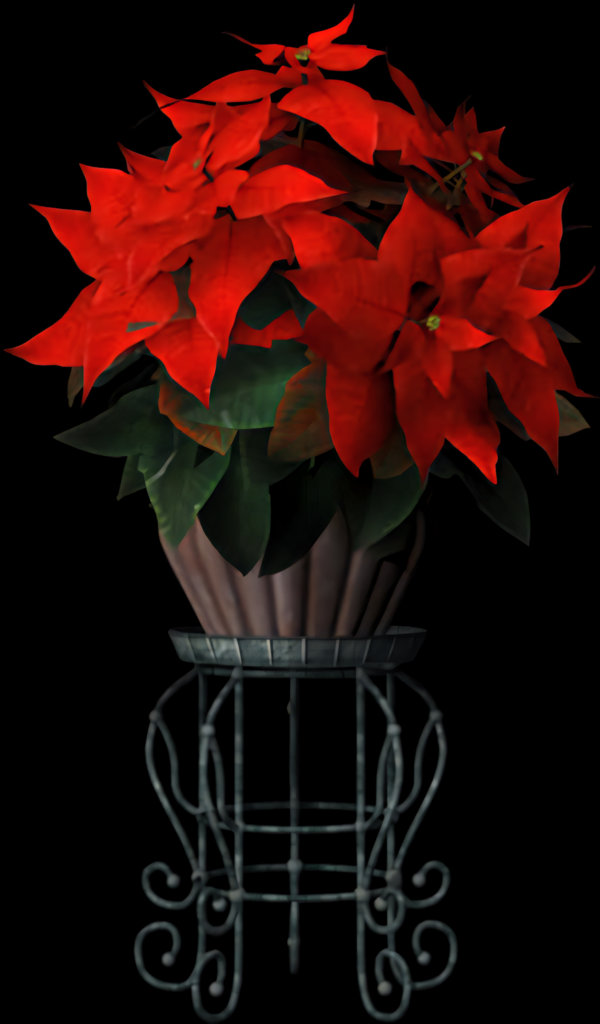 Elegant Red Poinsettias on Metal Stand with Transparent Background Wallpaper