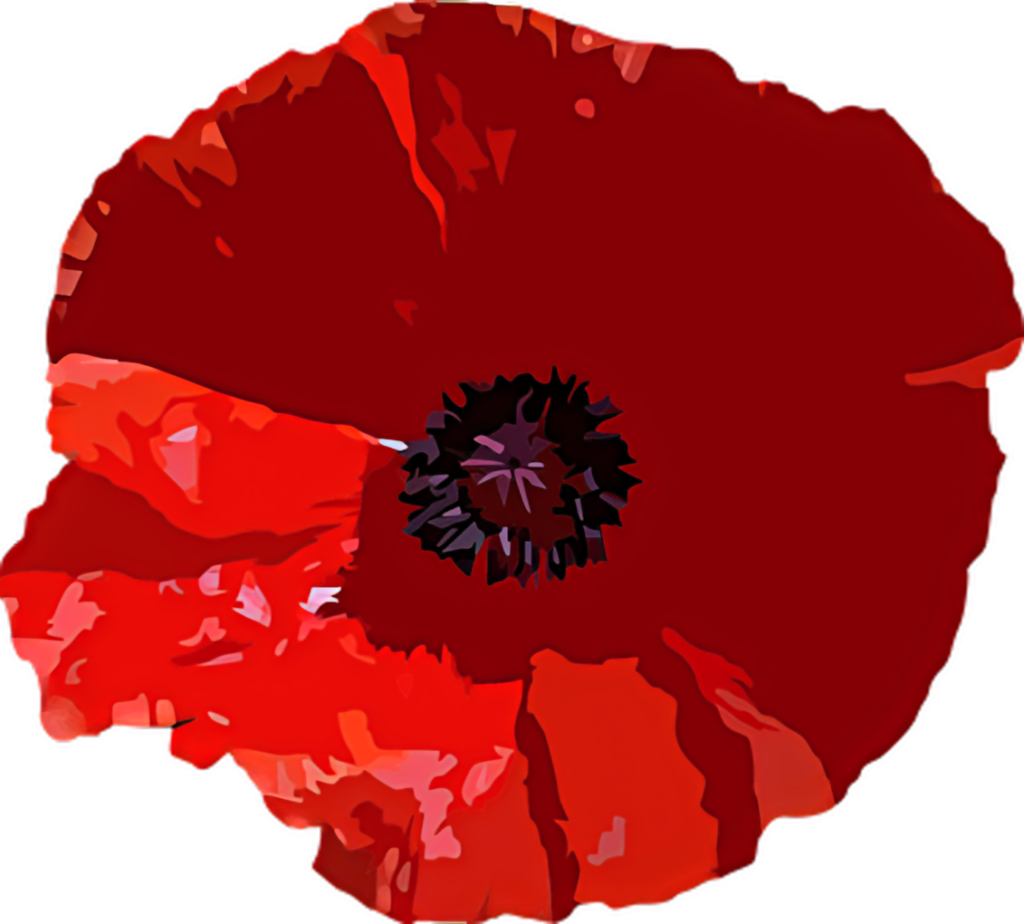 Vibrant Red Poppy Vector Image with Striking Colors and Details Wallpaper