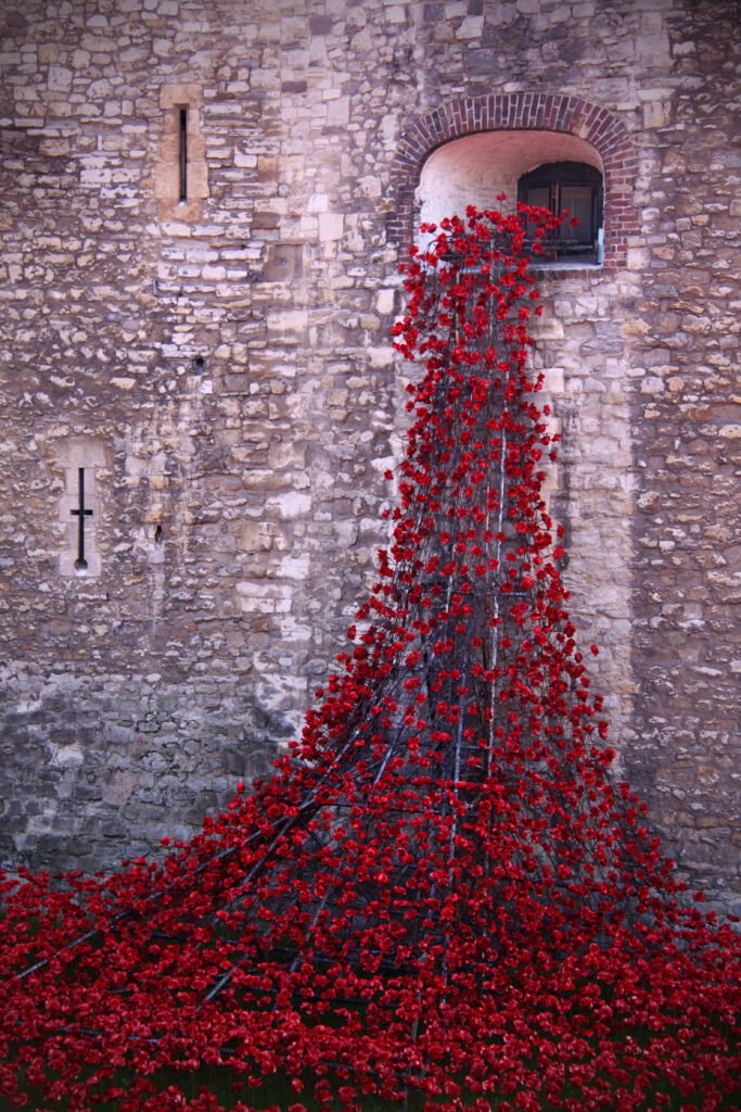 Vibrant Red Poppies Cascade from Castle Window - Elegant Wallpaper