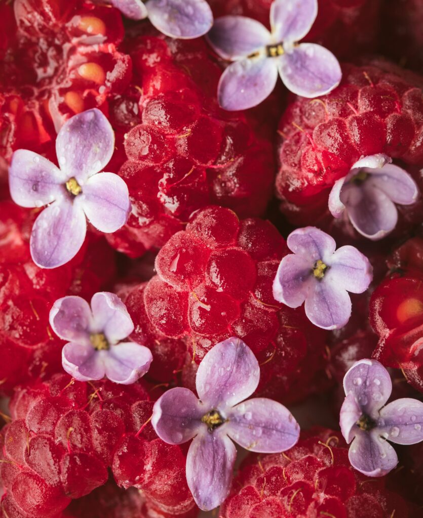 Vibrant Red Raspberries with Lilac Petals: Refreshing Wallpaper Background