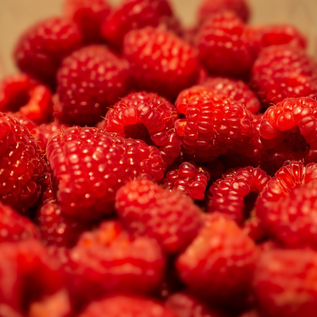 Close-Up Macro of Juicy Red Raspberries - Vibrant Wallpaper Background