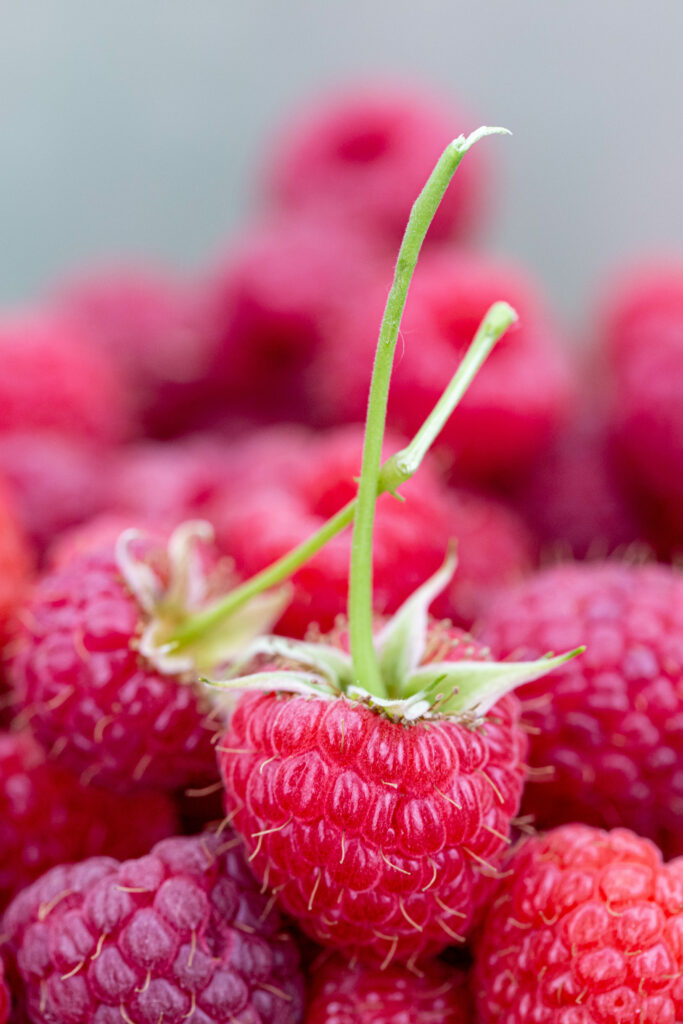 Vibrant Red Raspberry Wallpaper: Close-Up Texture Background