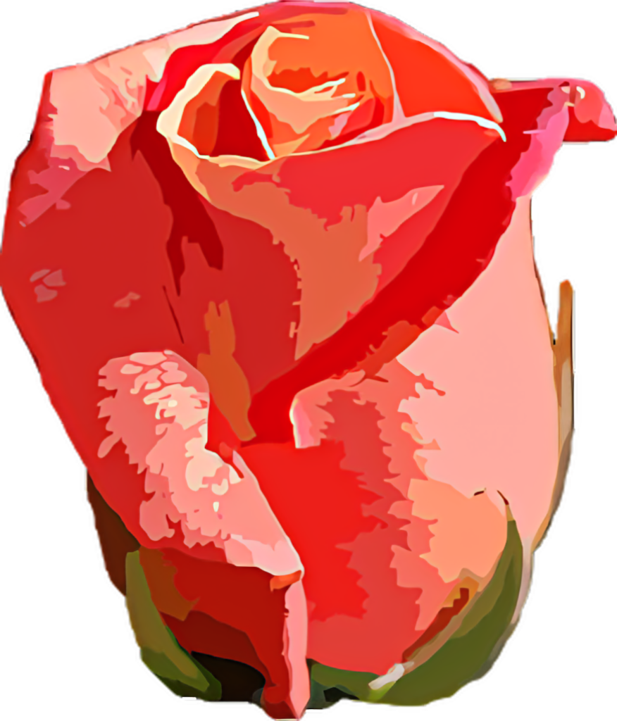 Vibrant Red Rose Digital Art Wallpaper – Striking Elegance Background