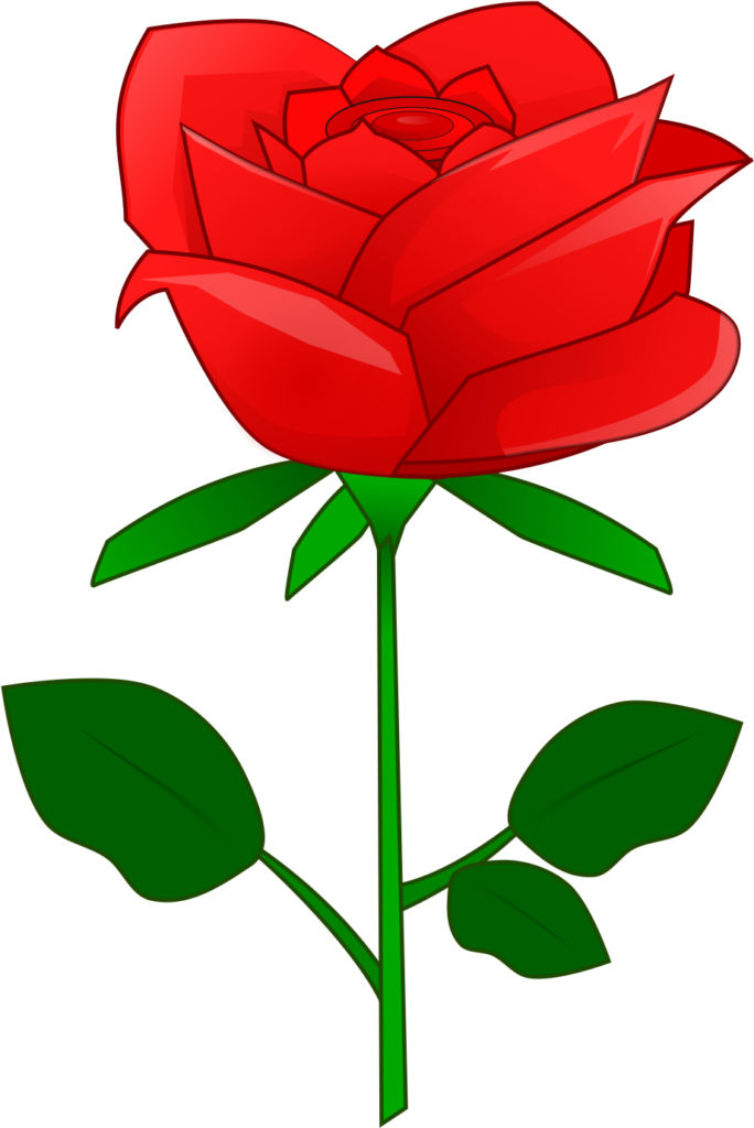 Vibrant Red Rose Vector Clipart on Transparent Background Wallpaper