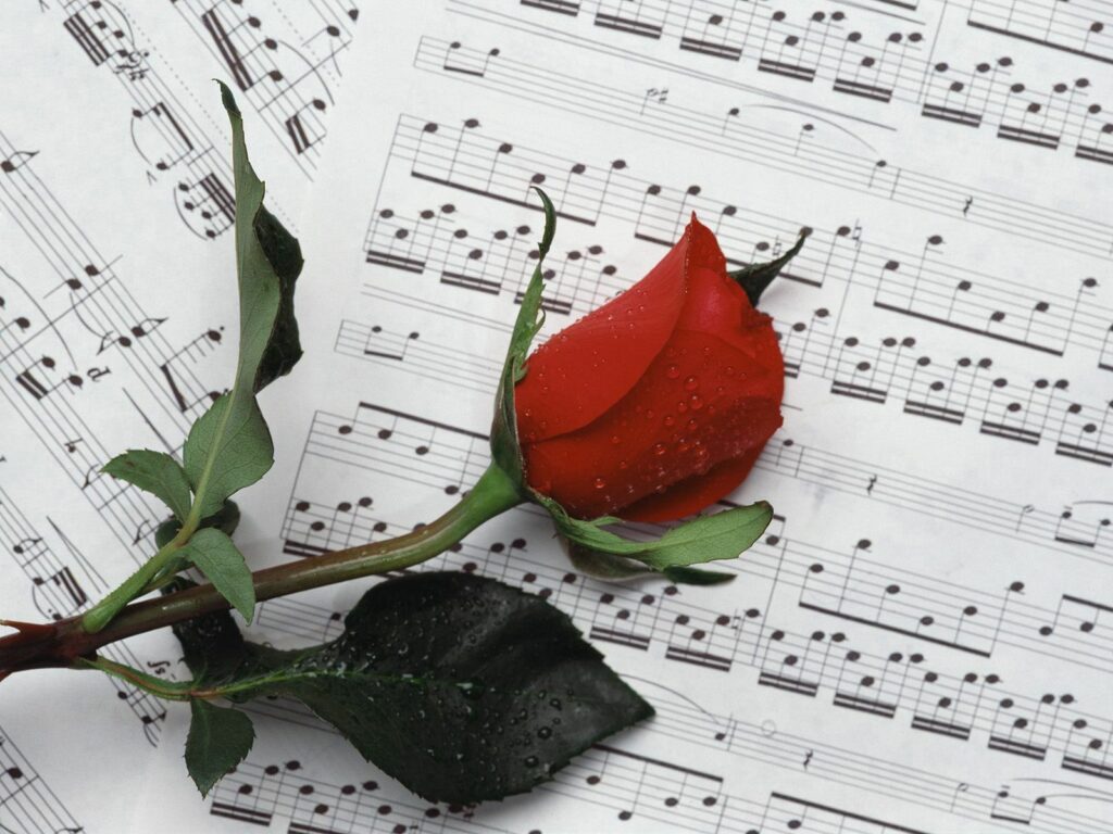 Vibrant Red Rose with Dewdrops & Sheet Music Background Wallpaper