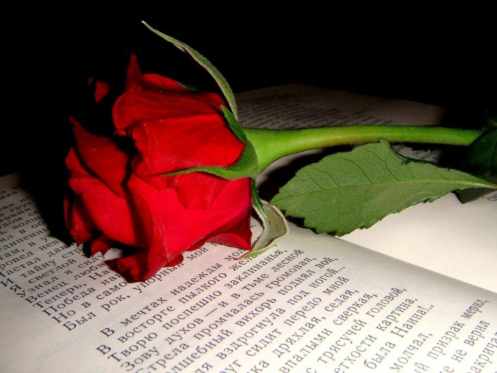 Elegant Red Rose on Open Book: A Blend of Beauty and Literature Wallpaper