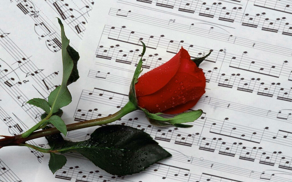 Vibrant Red Rose with Water Droplets on Sheet Music Background Wallpaper