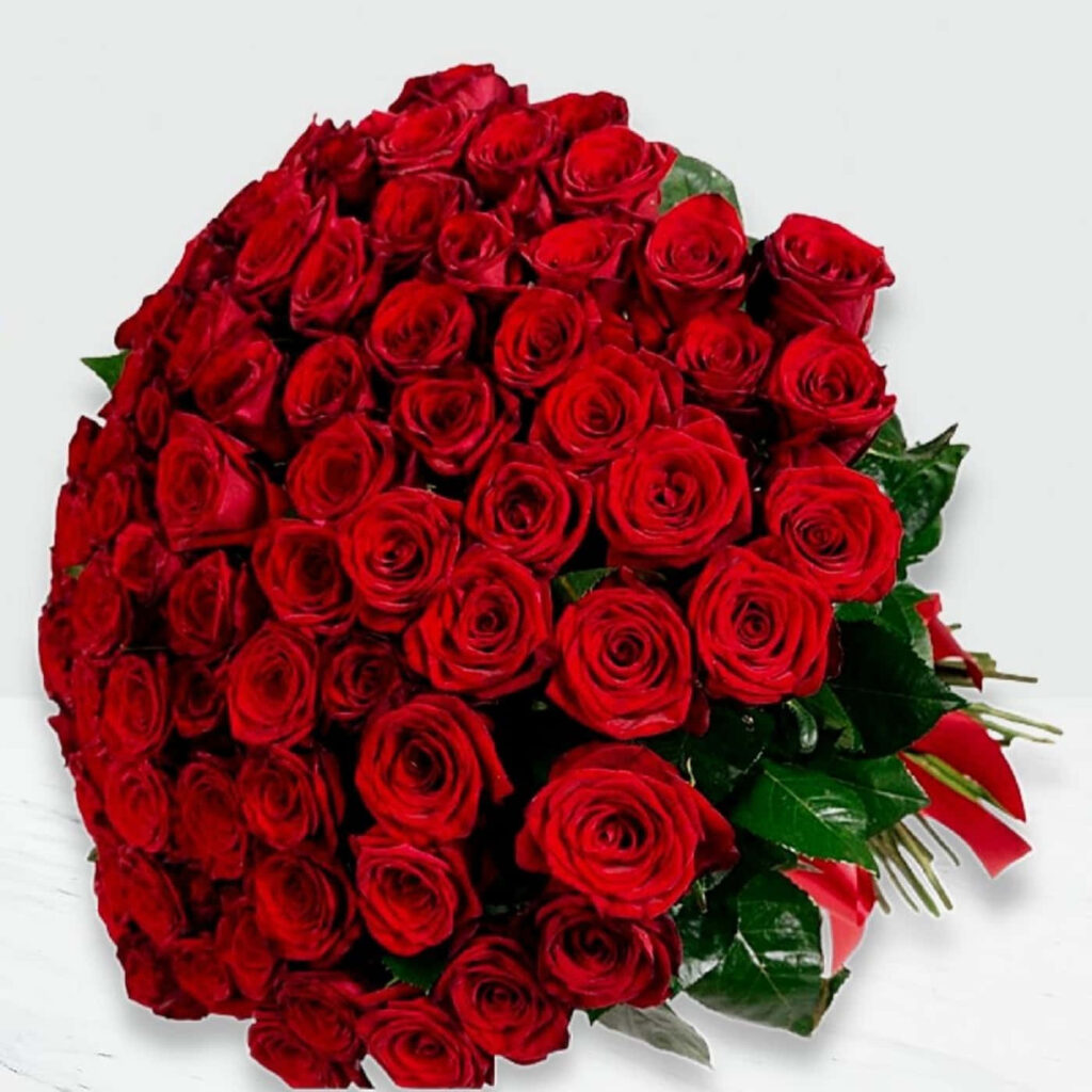 Vibrant Red Roses in Bloom: Lush Petals Against a Simple Background Wallpaper
